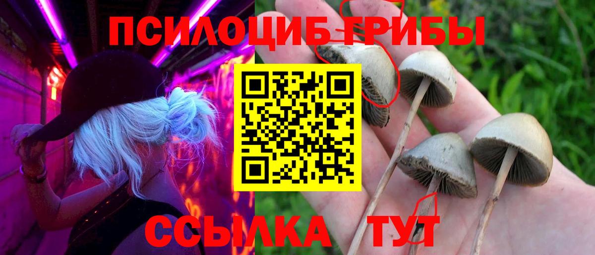 Галлюциногенные грибы мицелий  Вход с VPN  купить наркоту  Балтийск  Псилоцибиновые грибы мухоморы 